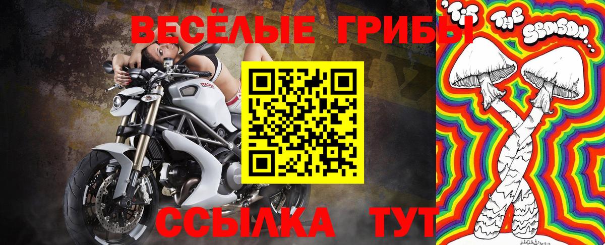 Галлюциногенные грибы GOLDEN TEACHER Лиски